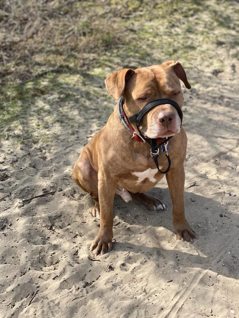 9F3FB2CD-648B-4DE0-BCE3-BD090AB87579