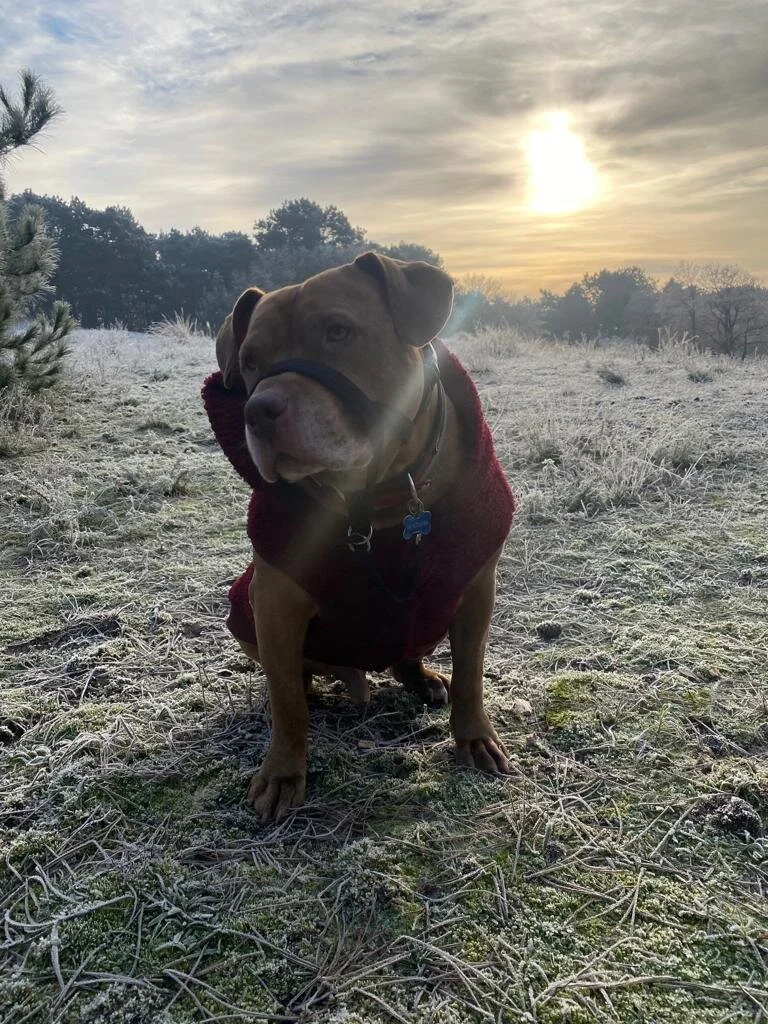 07039432-72CA-45CB-A085-902D9F163FFB