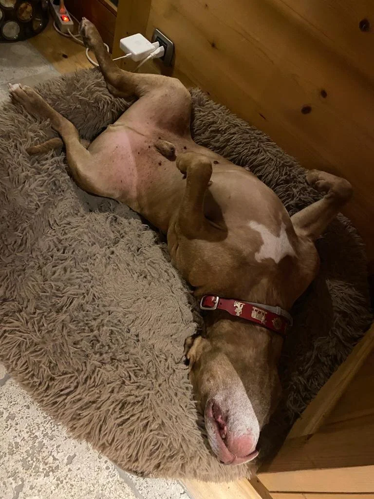 A4BFC1E9-1EF7-4510-A0D0-34E29F870032