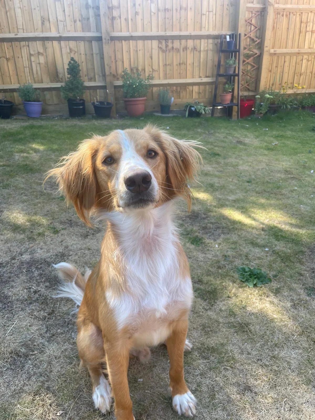 E61D37B5-029C-4DDD-8C70-BA42C45EAF4B