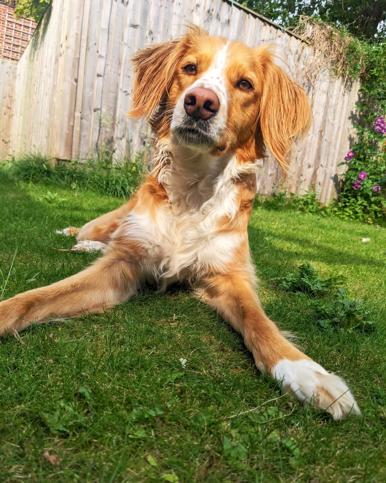 45C5D92C-E0E4-40B3-A017-EF1F959EF2CC