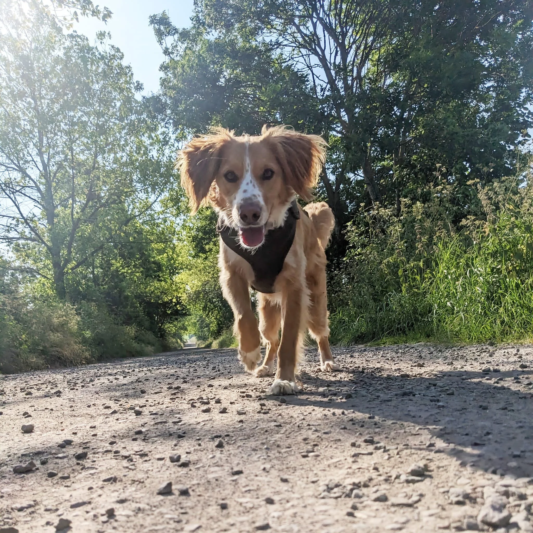 B7C40F1A-9480-4234-BC26-14F3AF9661B2