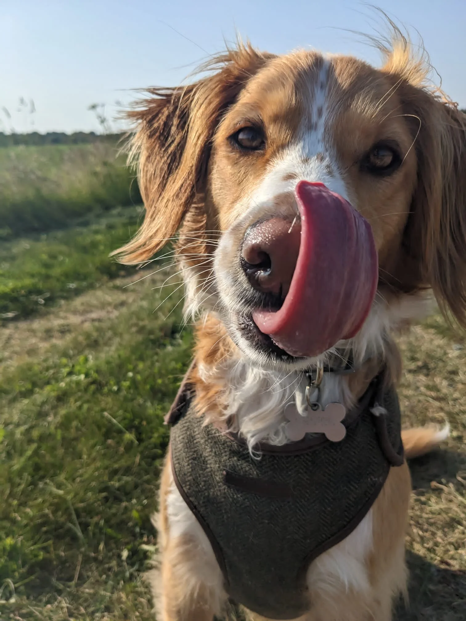 4A1D0C53-AAA1-40CE-AD62-292C47A93D77