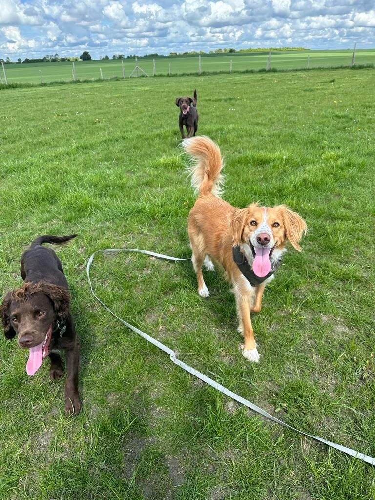 95A185D5-68BD-4D02-BA9F-E119F7F03DC9