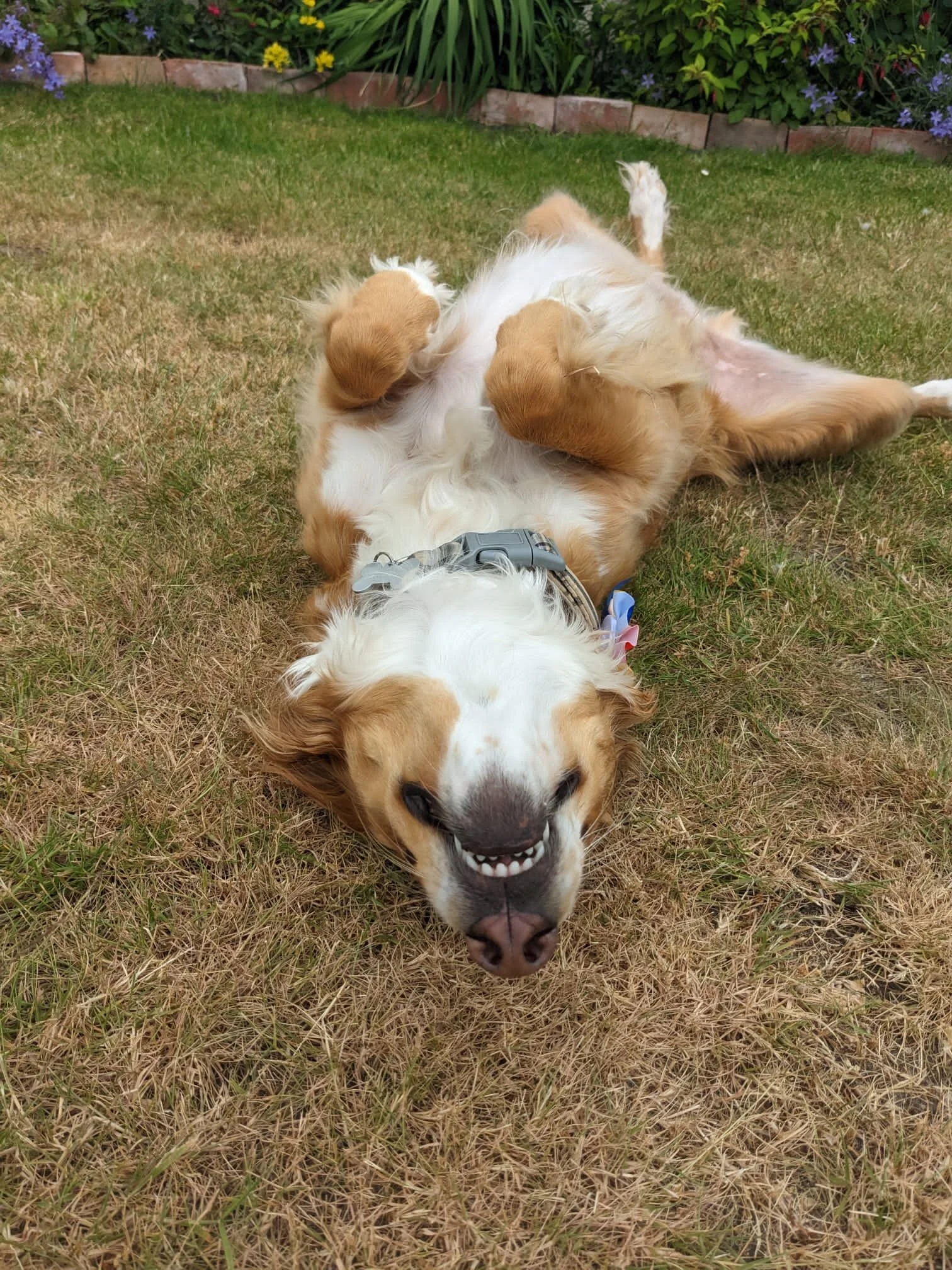 76119C58-D3BA-4426-876A-7873CDDB00D8