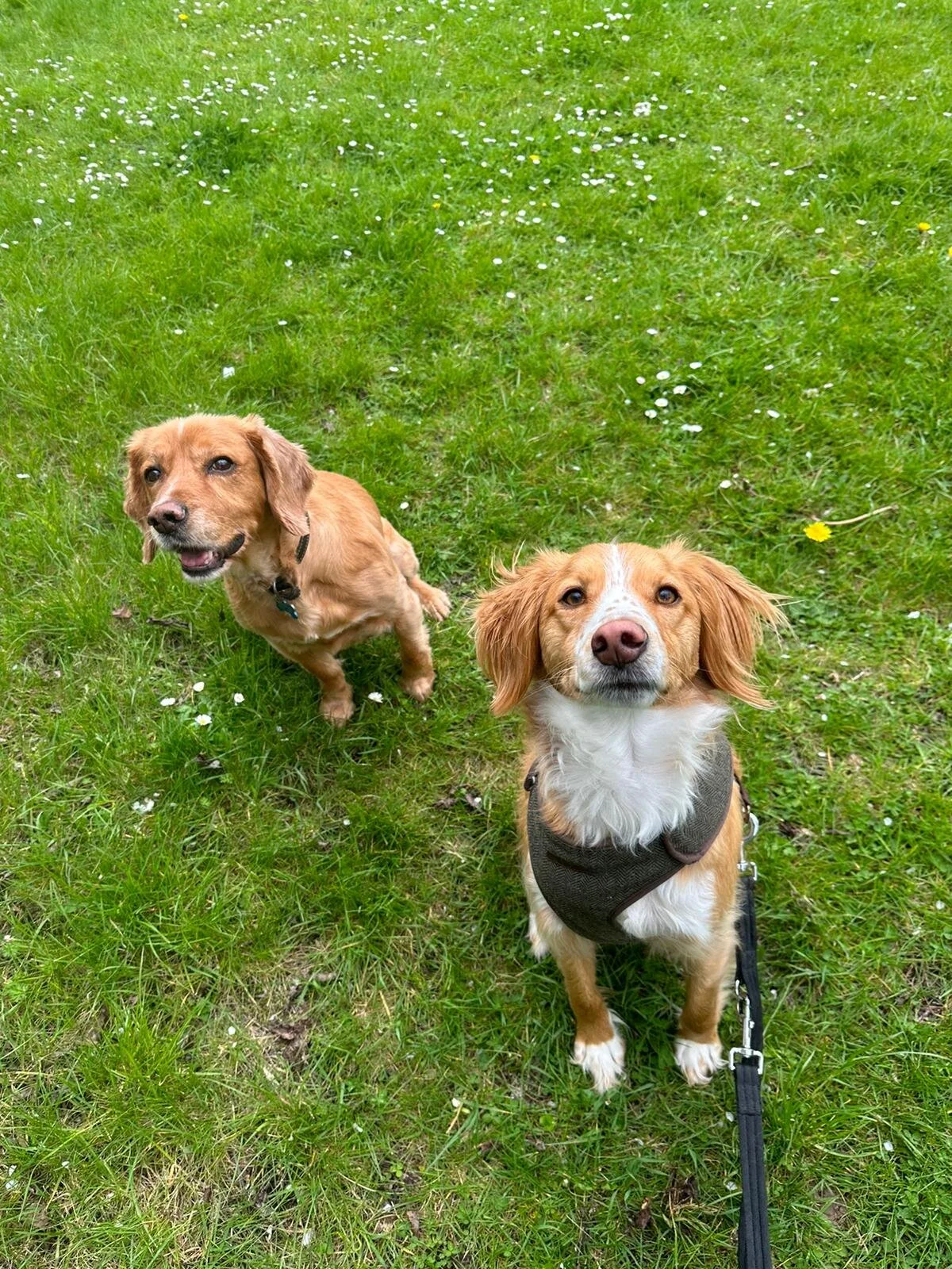 9BB7DAC9-5E48-4D23-8F2C-F0D093C40EF7