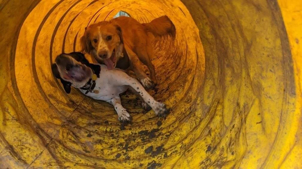 230811F6-F4D1-49EF-BB7C-9367933DC50E