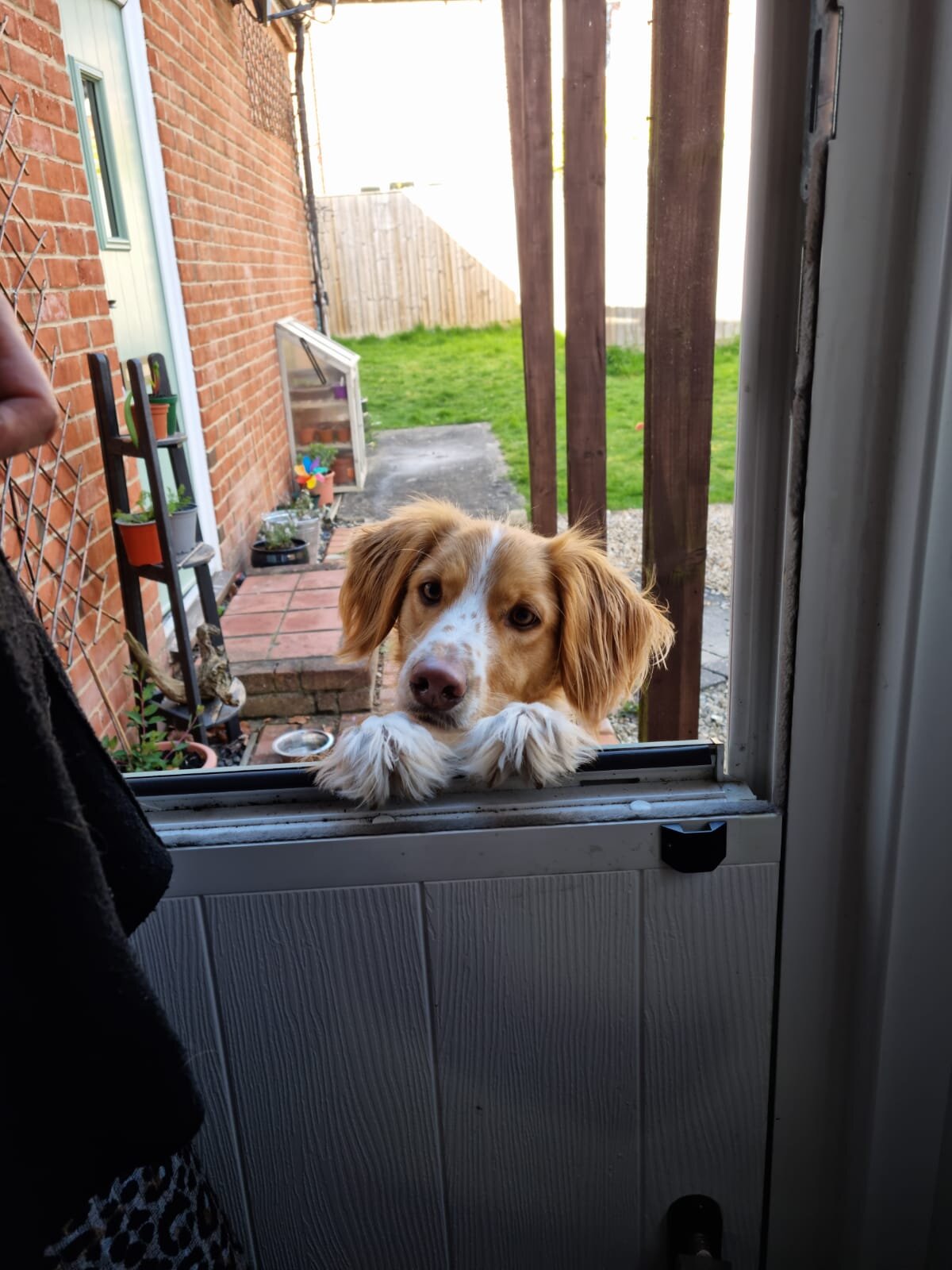 EC026128-82FF-4FC1-AD45-F073FF4941B8