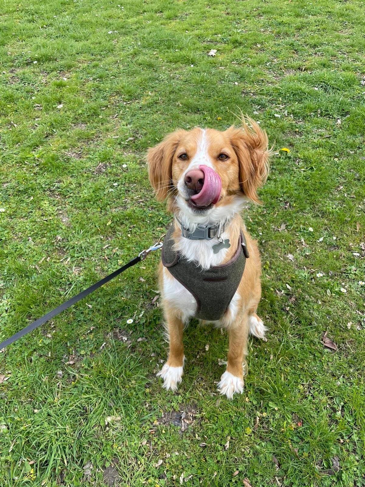 8B2DFABB-02FC-4647-9644-5247F38281B2