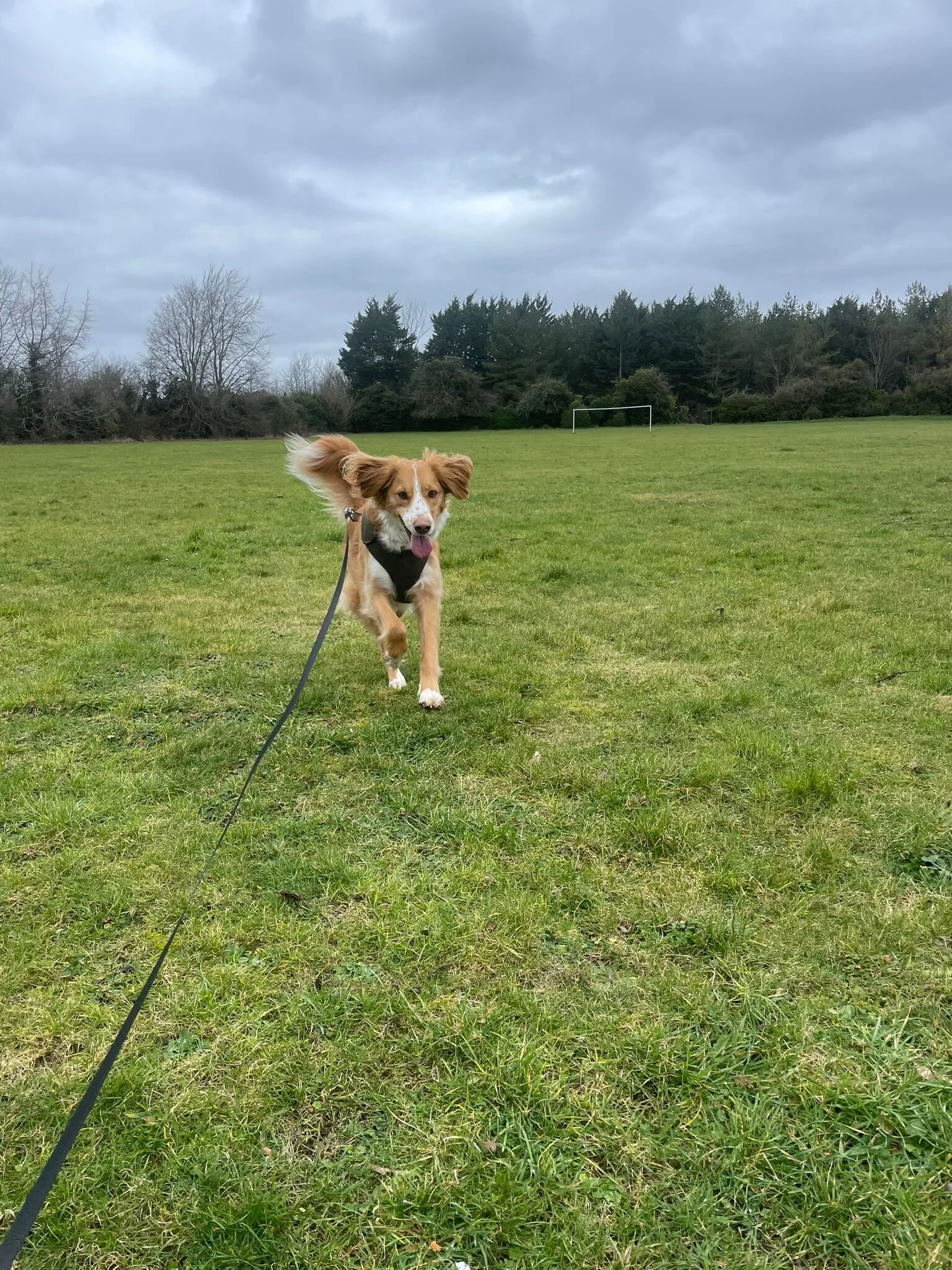 DCC001A5-1C29-4288-BA14-8BDAFA40725B