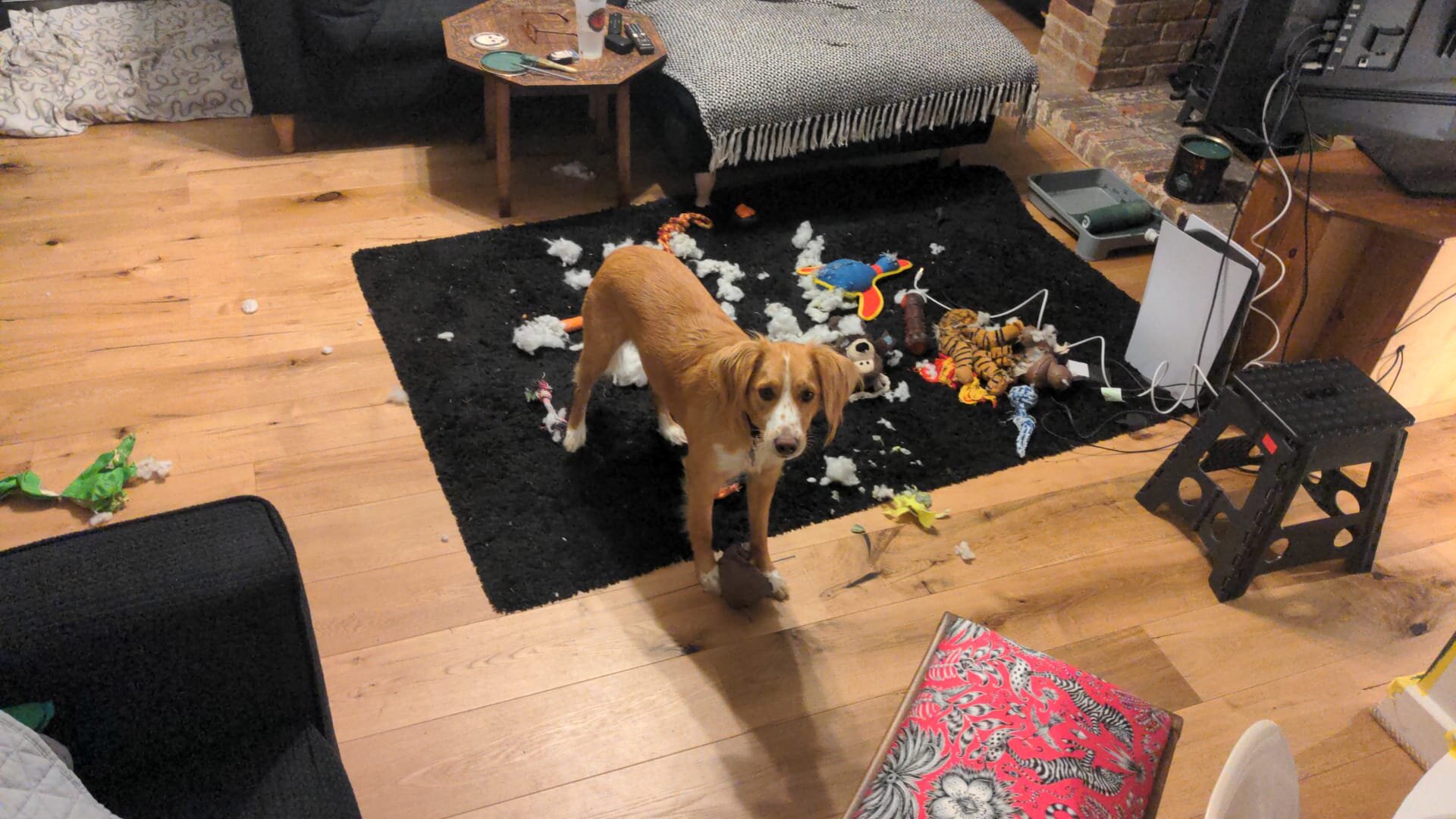 95173F04-AE35-4DCF-A02D-67407CEEE6FB