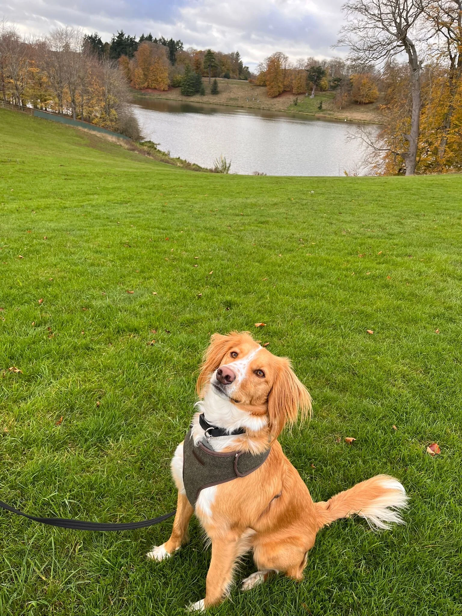 A79E4C15-CDAF-4E1B-93CC-D2517D4A0FE3