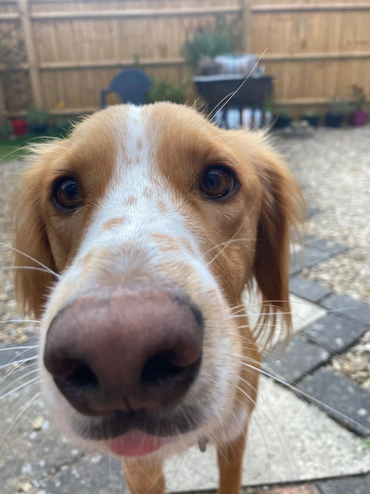 AB8128F1-524C-4183-B362-6D0863DDEFE9