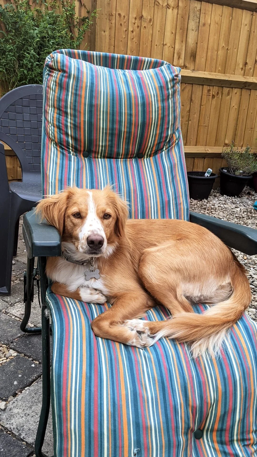 A2389FE9-033C-450C-8FF2-1FC0C1E231CC