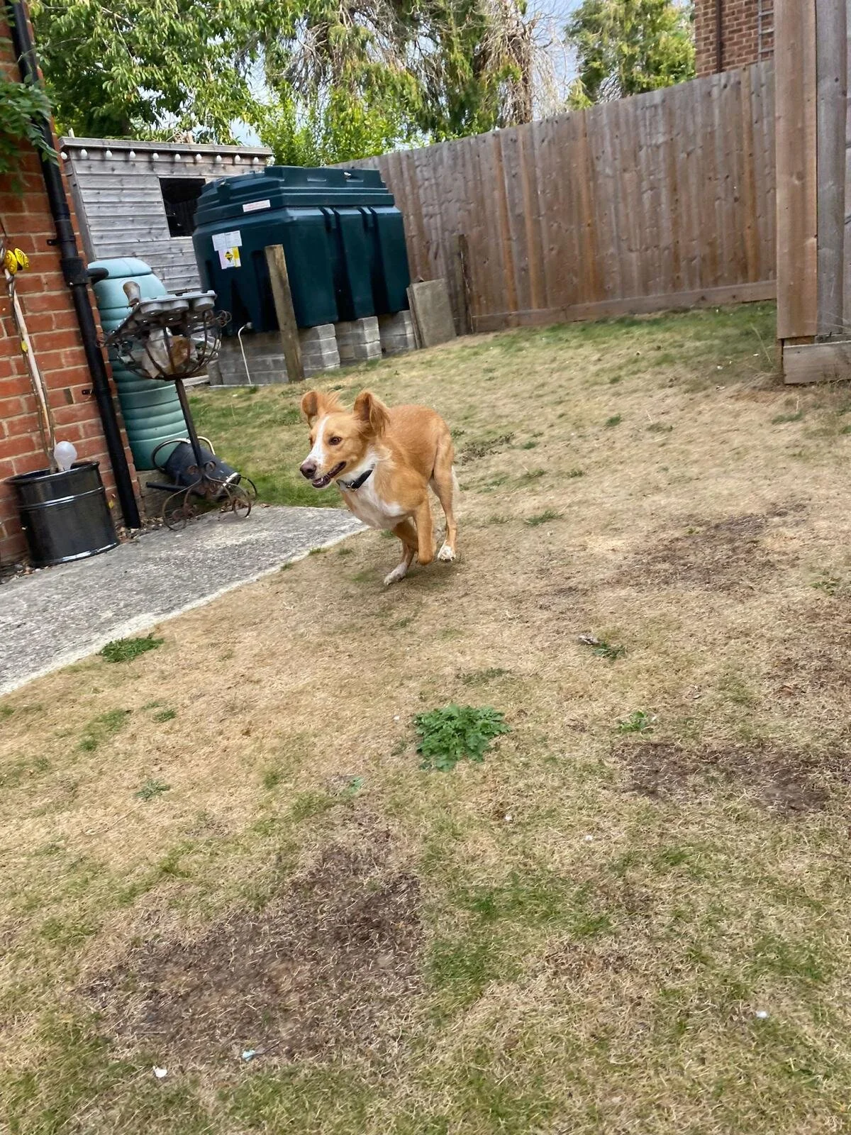 4020E1CB-295B-4EC1-BA9F-773B154C8F5B