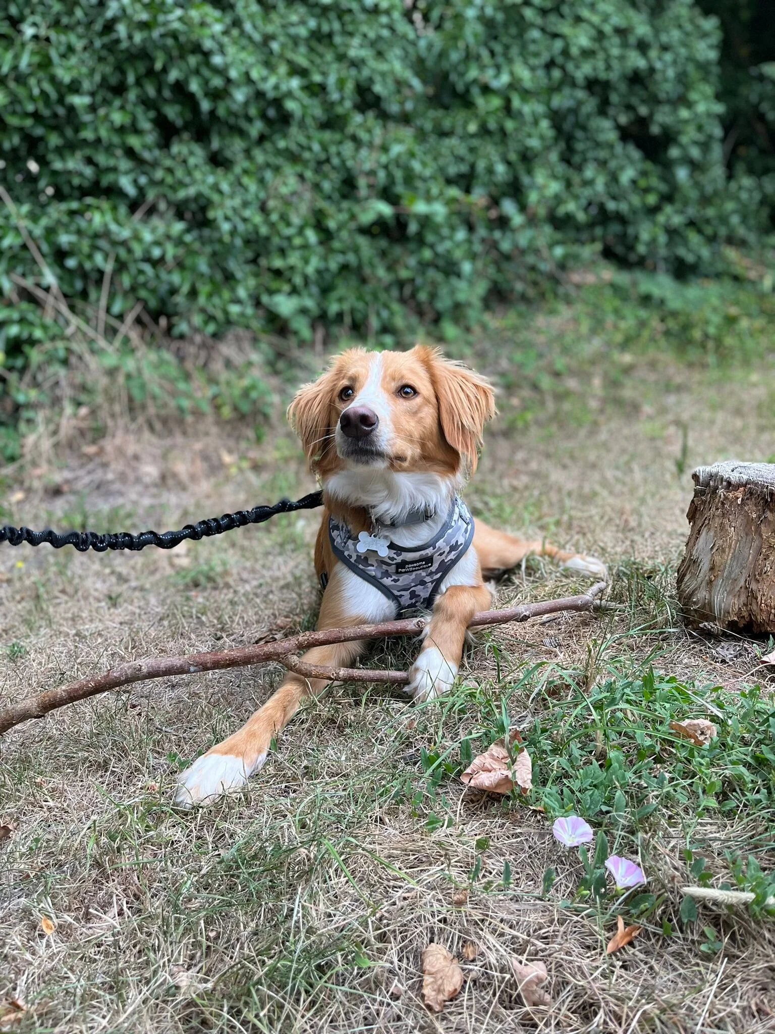 28B7D1F2-0DAA-49F6-A3BF-9ED1DAB29F8A