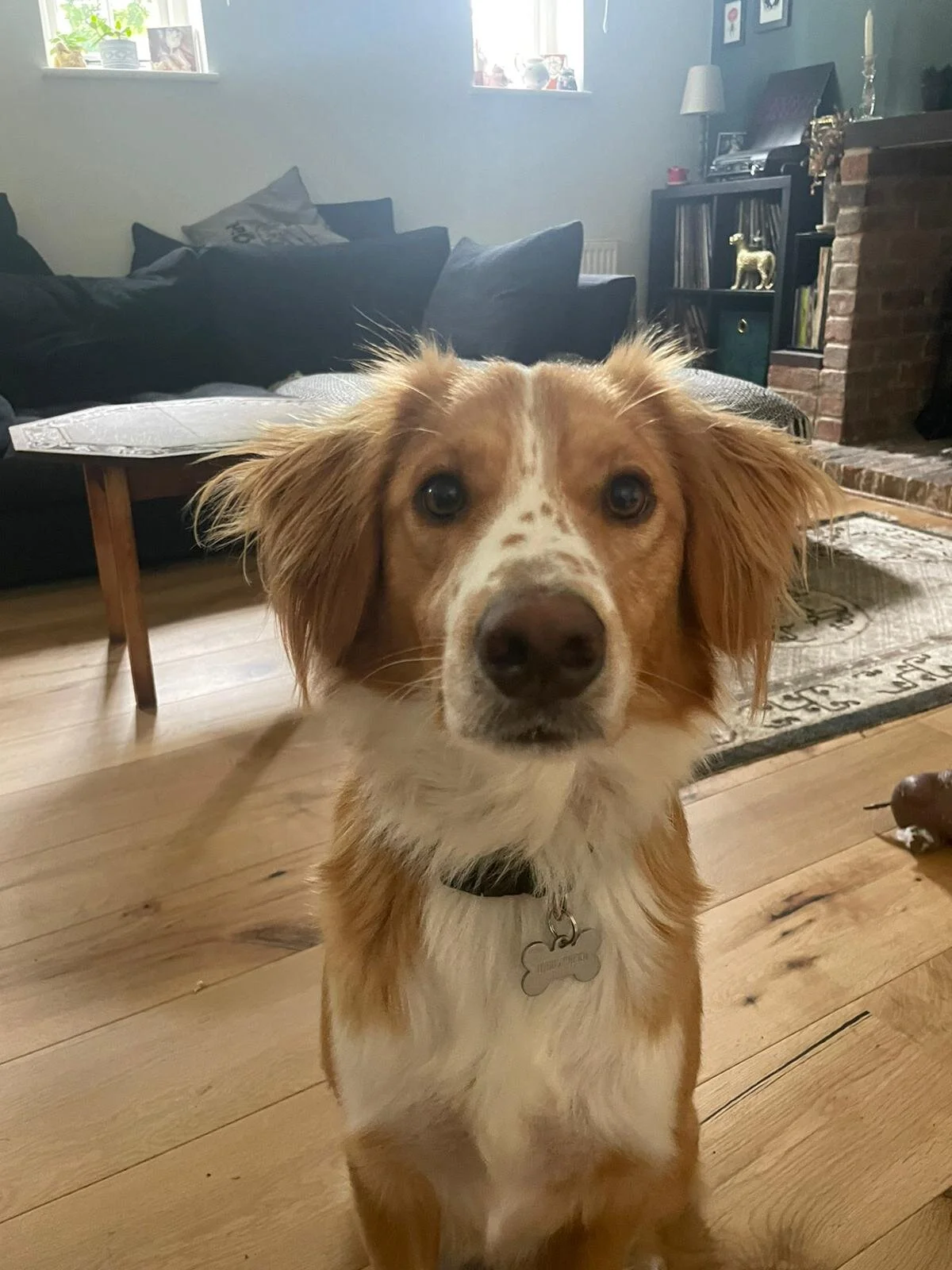 CE425FC4-2915-4739-A687-44A4ECB1053D