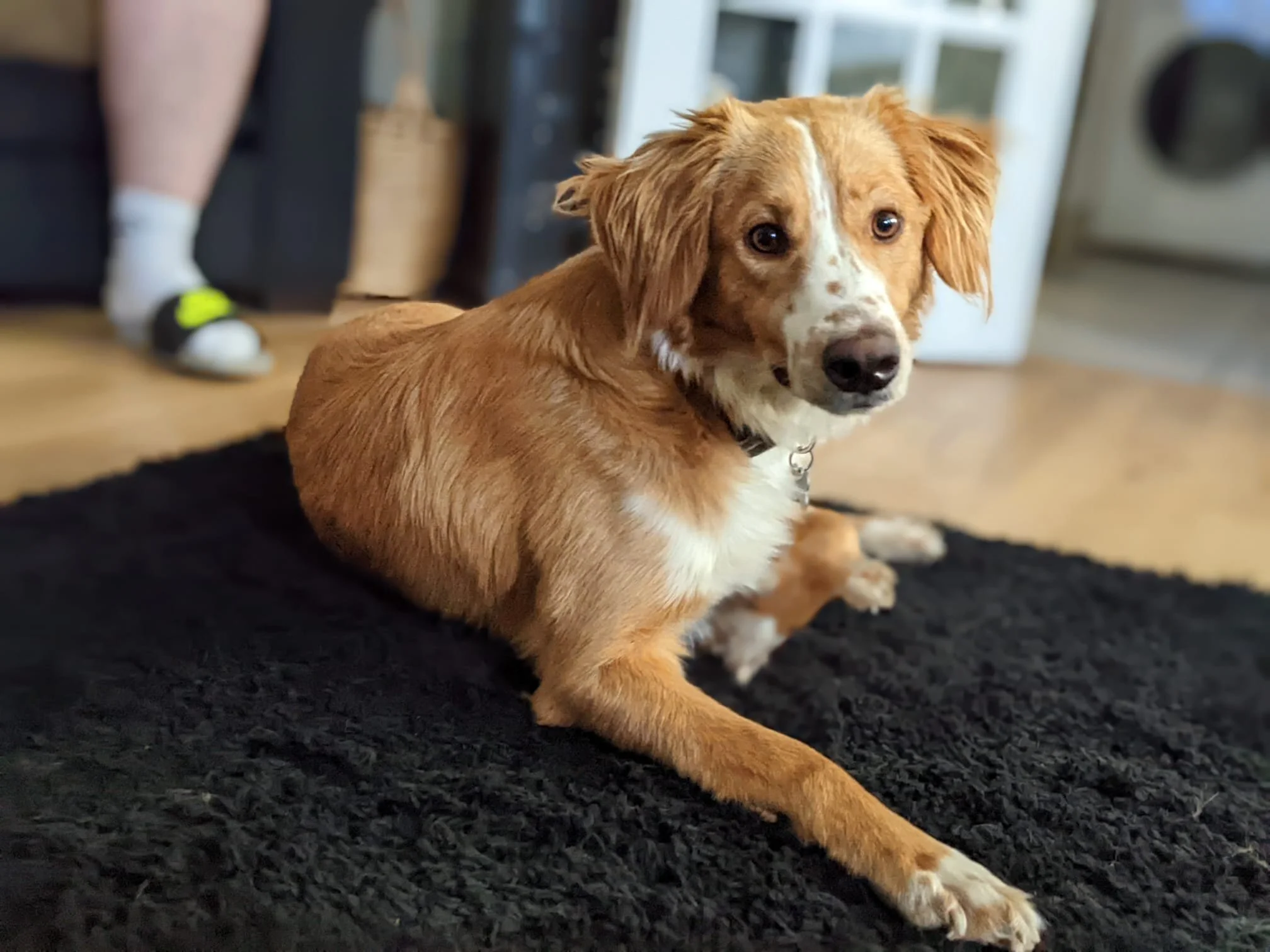 D616D366-94E0-40ED-AAAE-C7896F92FFEF