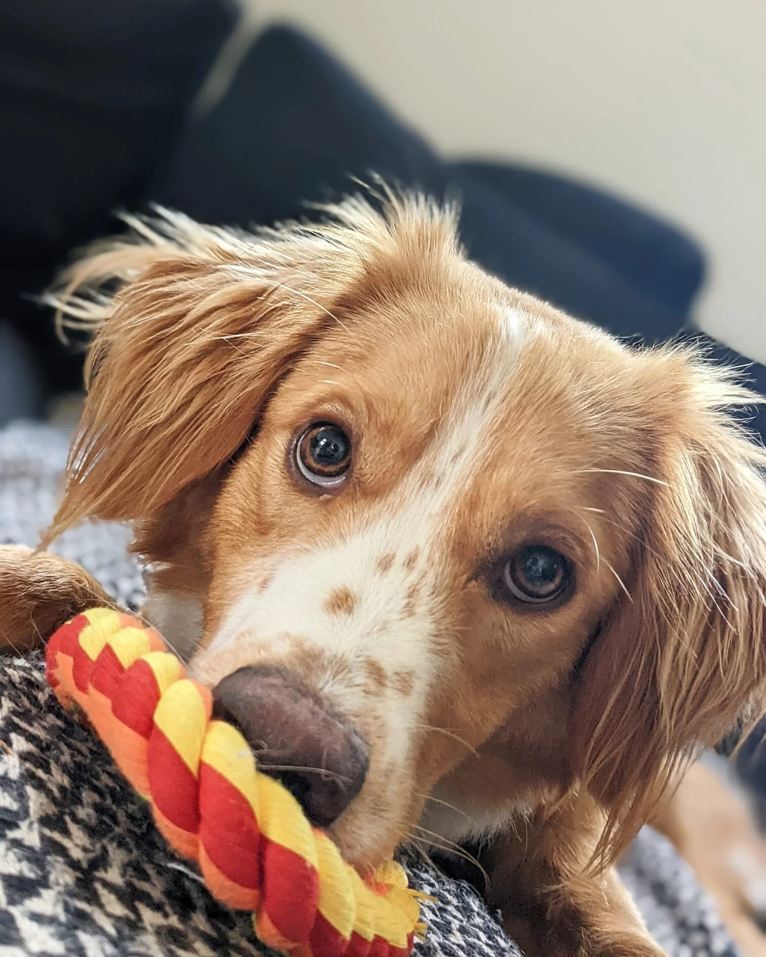 5F9B70FC-B8F3-4EB8-9A83-306A183566AC