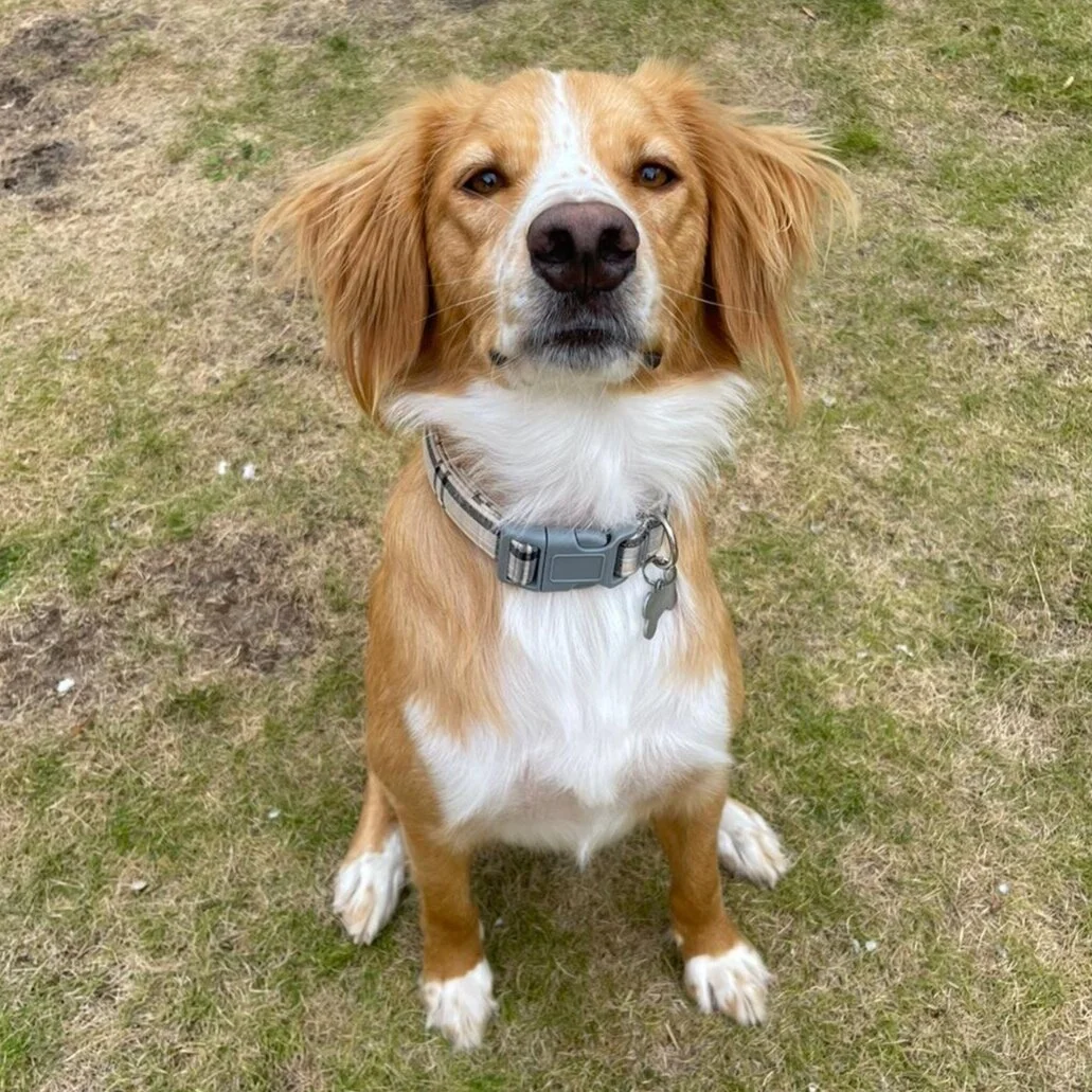 B1CA785C-49F3-4D36-AECE-149D39EB70B7