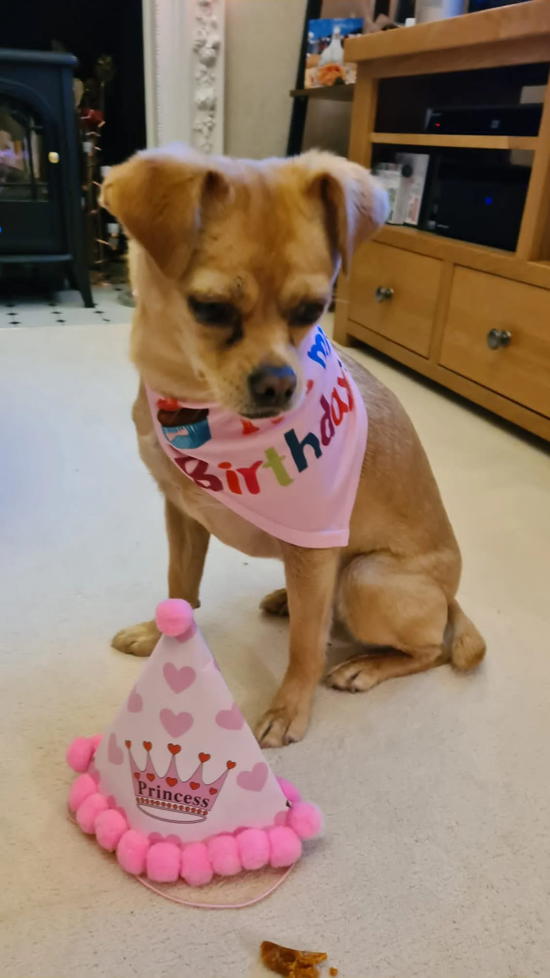 5F6BF58E-3533-4BCC-9292-80383604587C