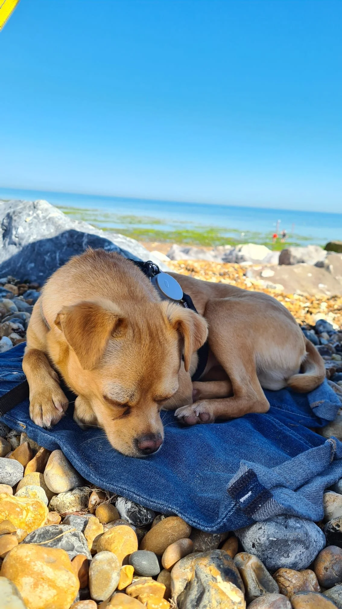 C0E1D7DF-D34E-4AA3-8483-93871AEC5BF6