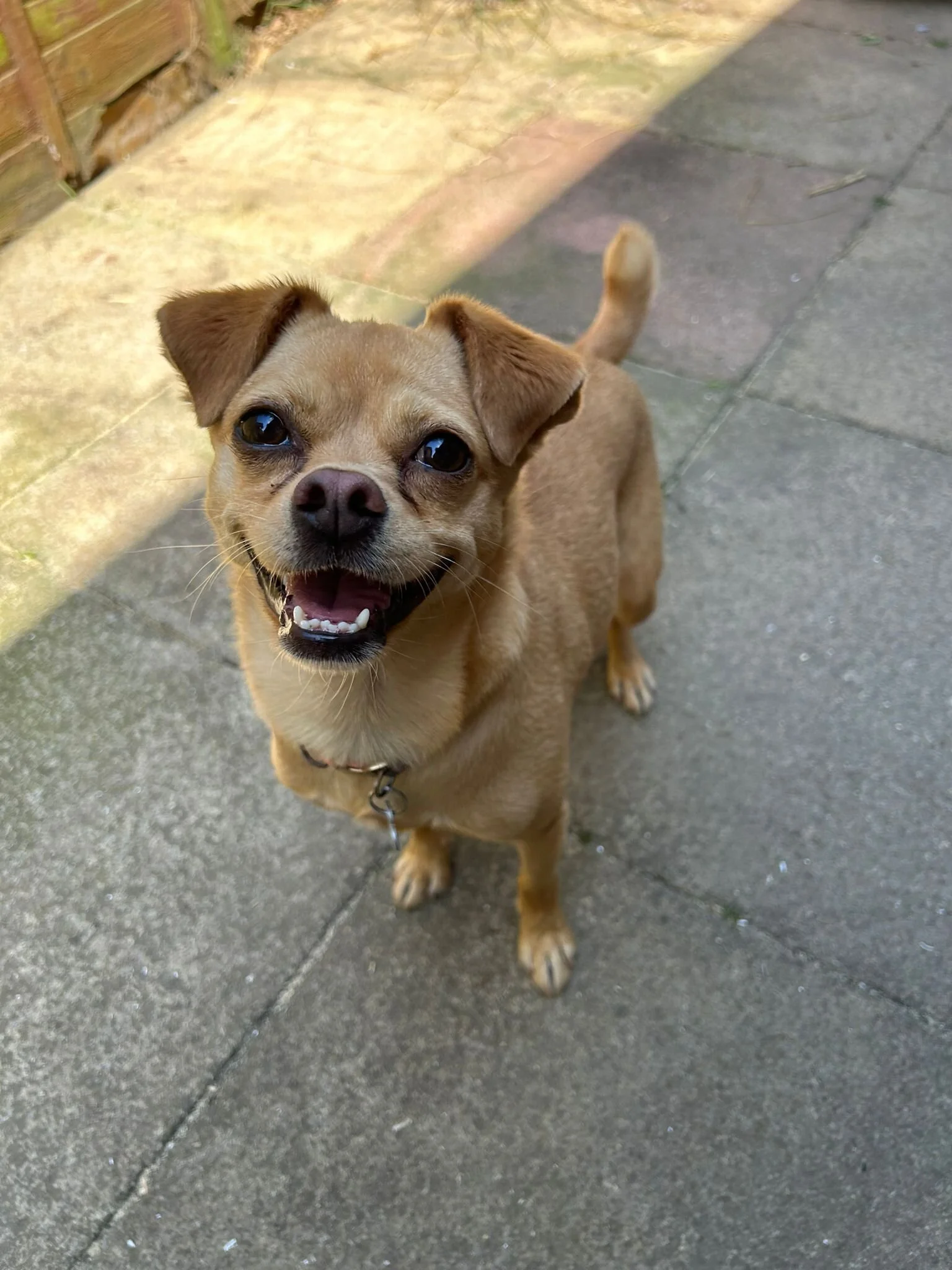 1AF215A3-2600-4BFD-8C5E-603CB390F1A7