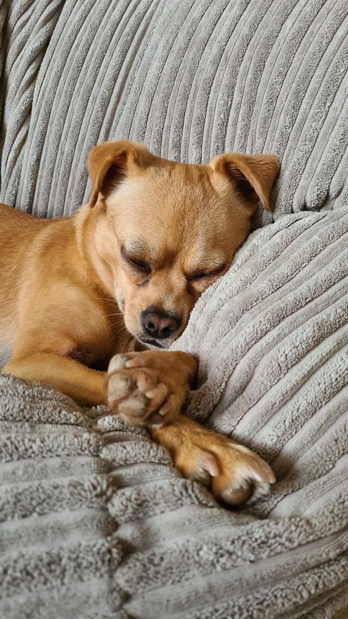 4C5C7FFE-68AF-4D13-B8F9-C449D8569DB3