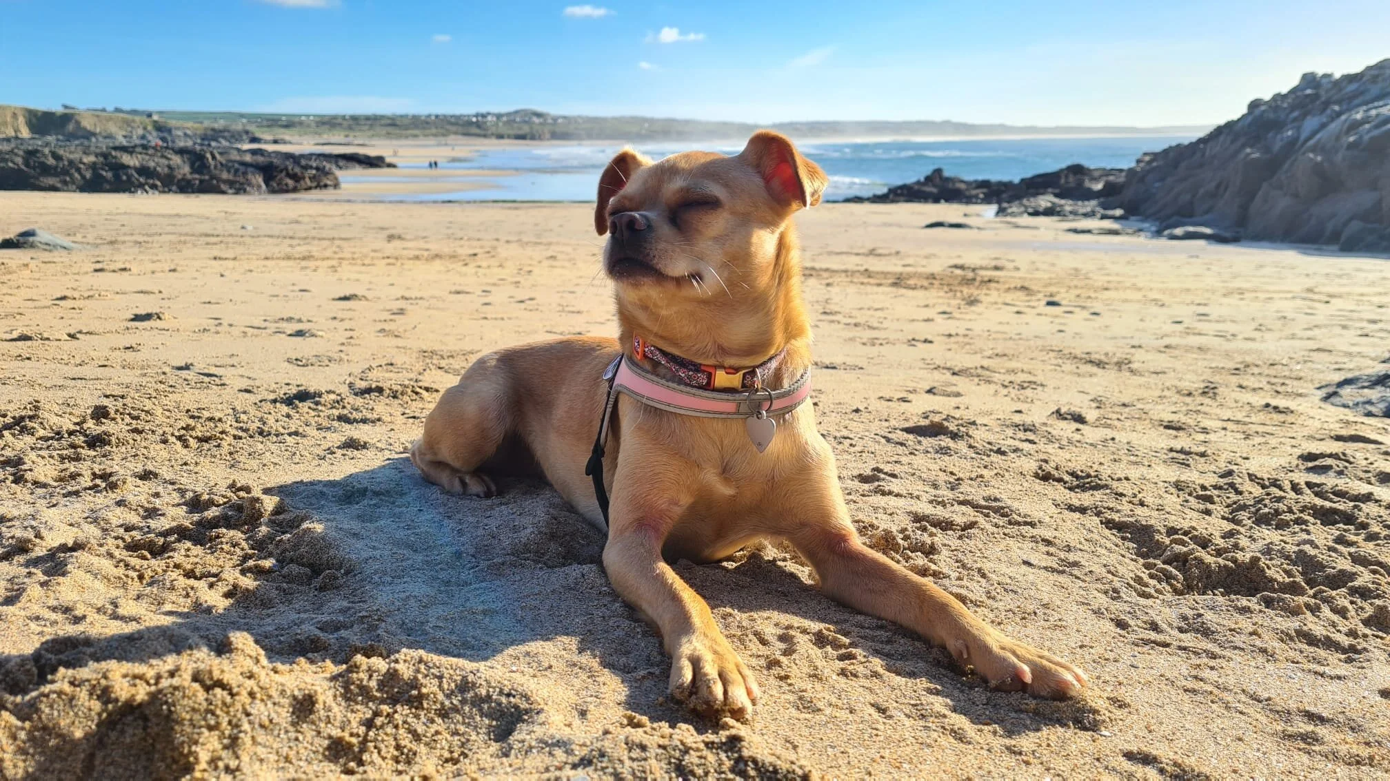 53315B38-0C71-4DB2-A4C9-83E30DF503E9