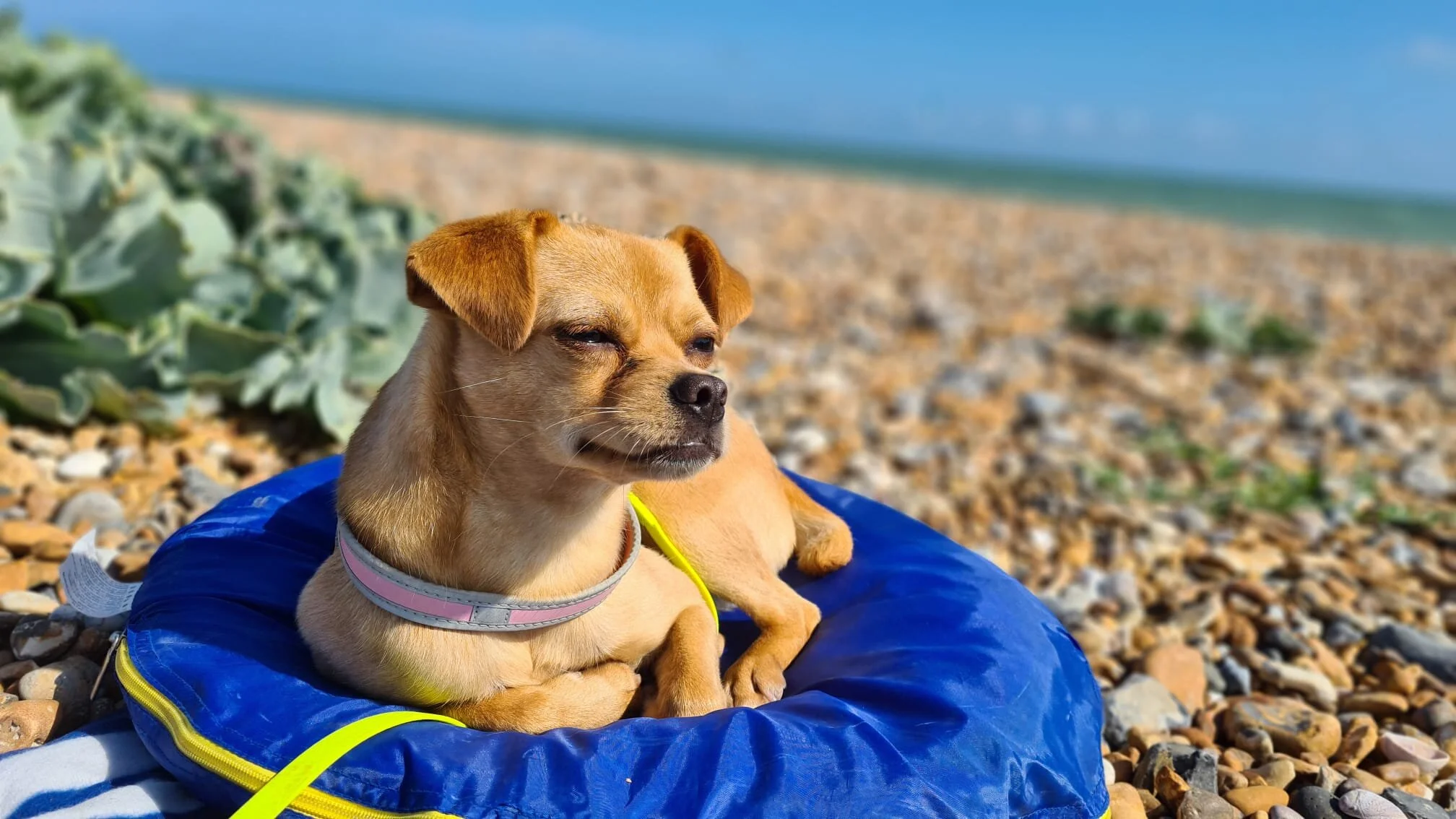 CF2FAC41-E4CA-4A7E-9DBB-6237C0E4FF73