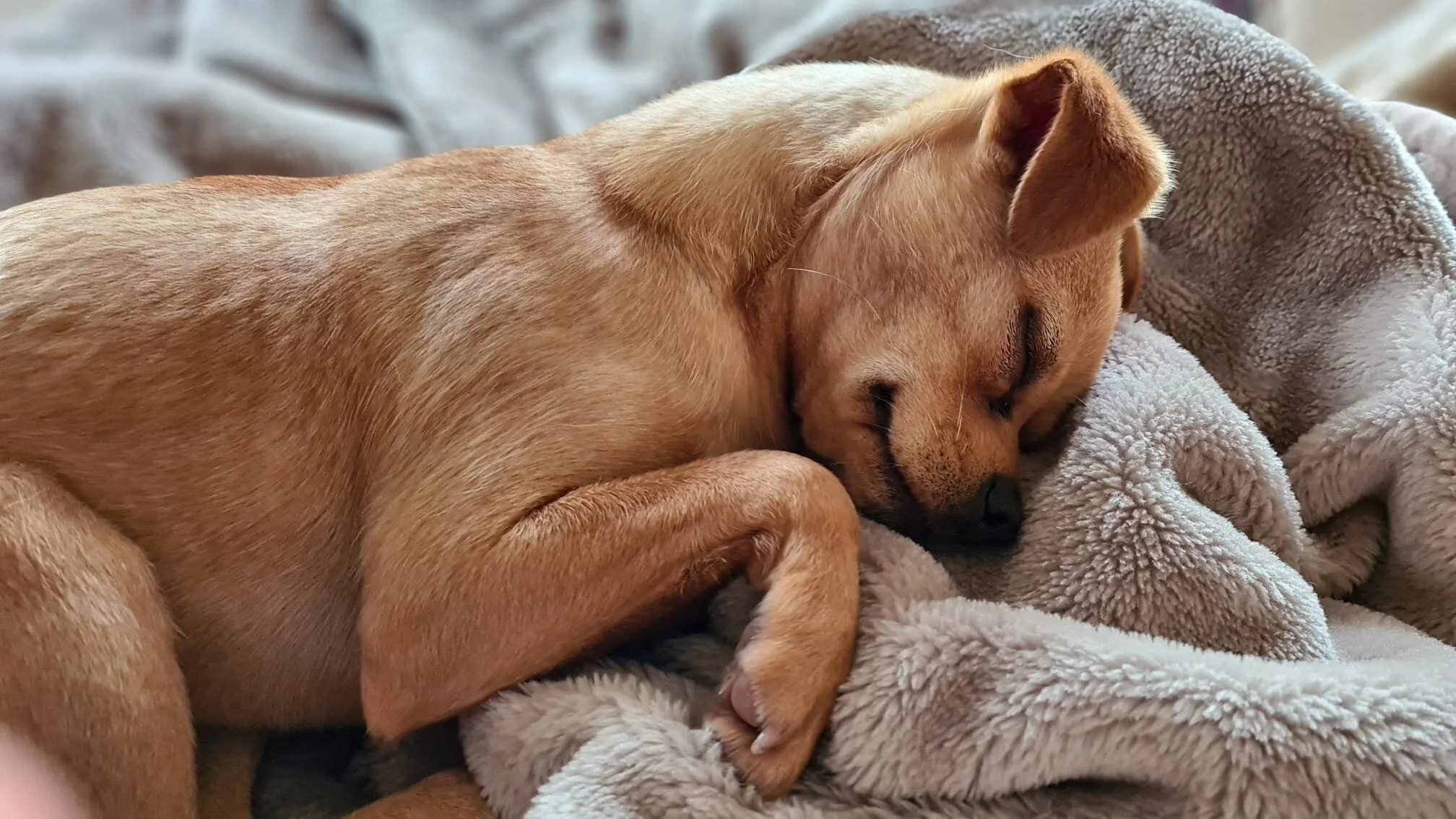 A45D2AB6-D175-4800-93C7-F106D1ECCC8D