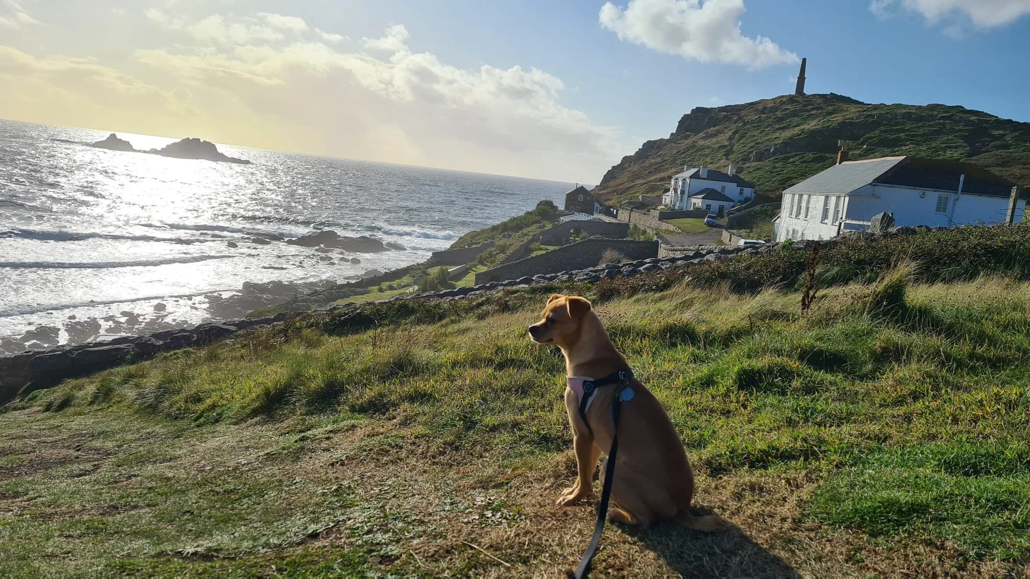 A8E2C75D-9C35-4C06-9711-994CC88C883B