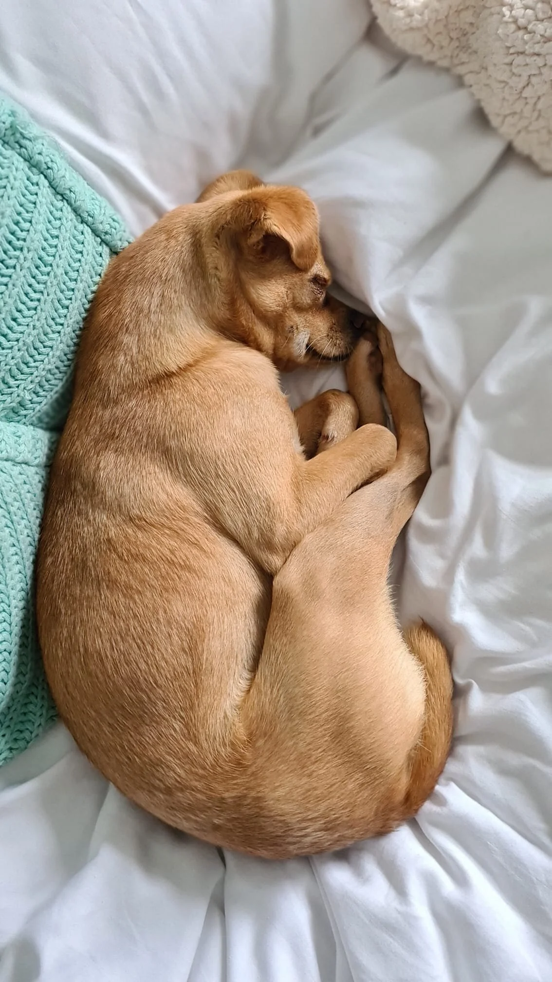 1E1C71D0-E1F1-47A2-9153-03923FEE5B58