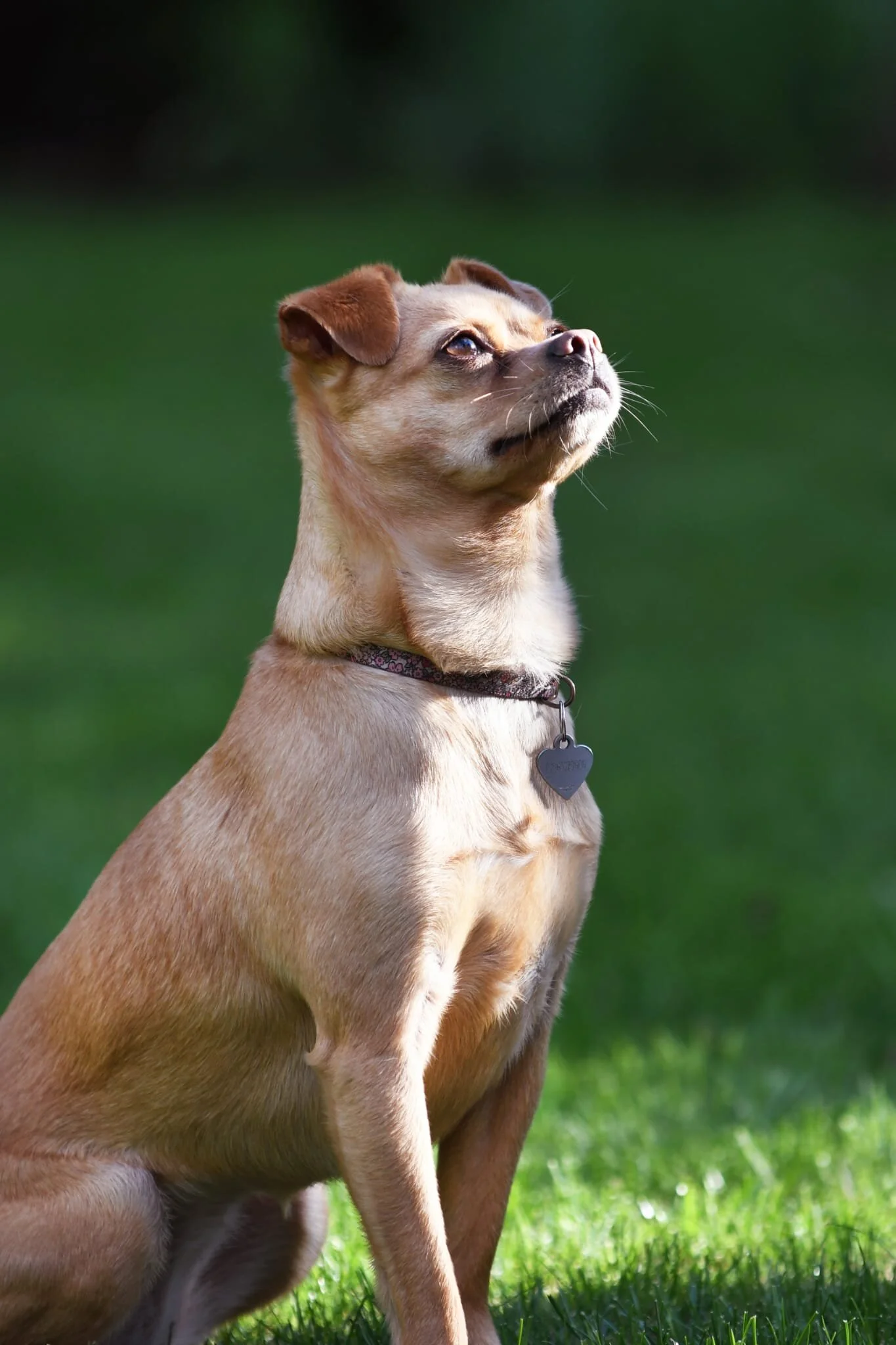 3D10ED12-AE97-4E39-991D-7572BBDD1C3B