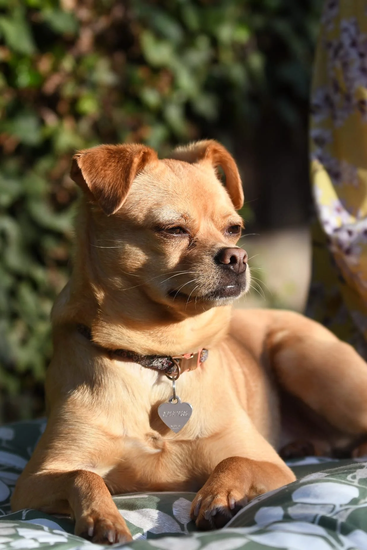 09614BEA-222D-4675-A8F2-6E2B1168C9E9