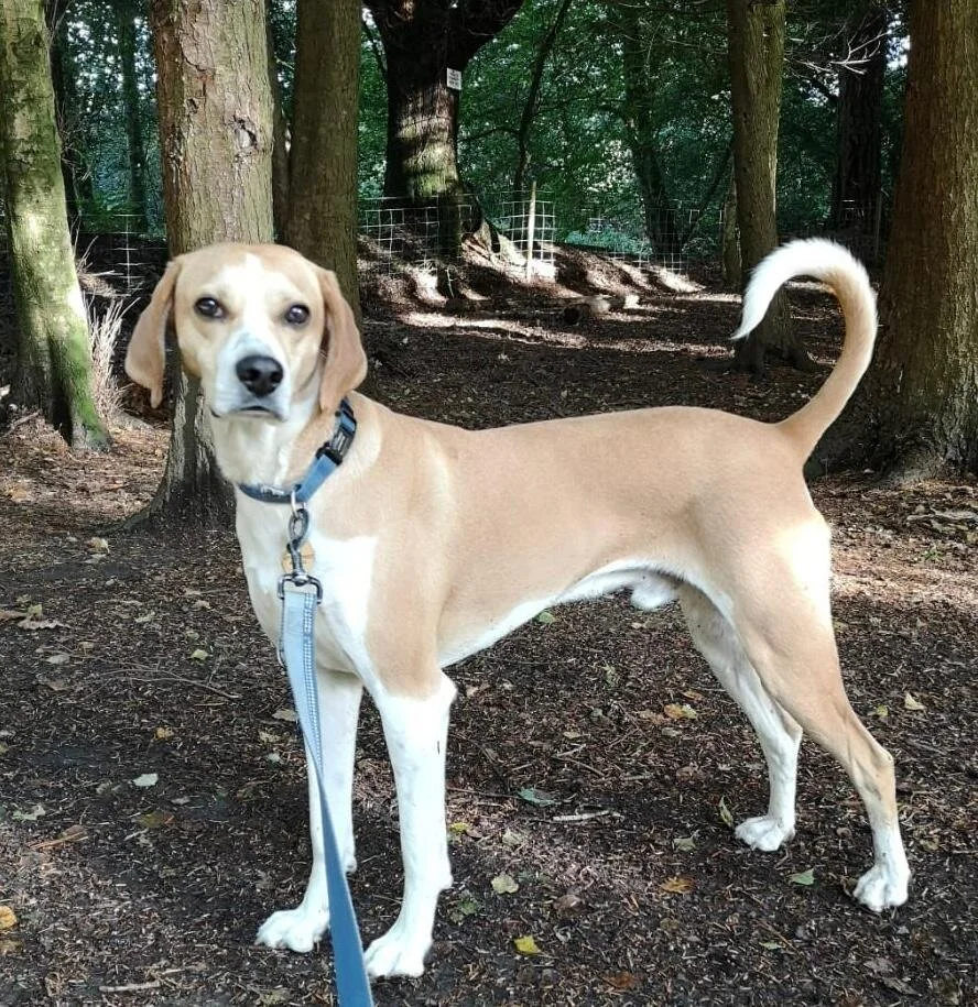 1FD4758D-C003-41A6-B48F-44FC6F9214AE