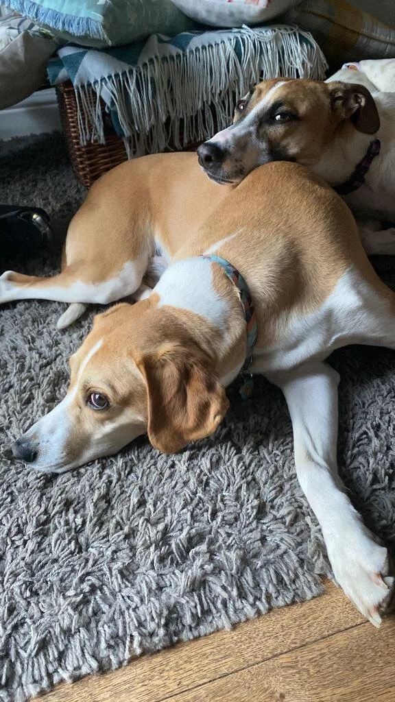 9EA618B3-7710-42FC-BA9D-F7544D3F7536