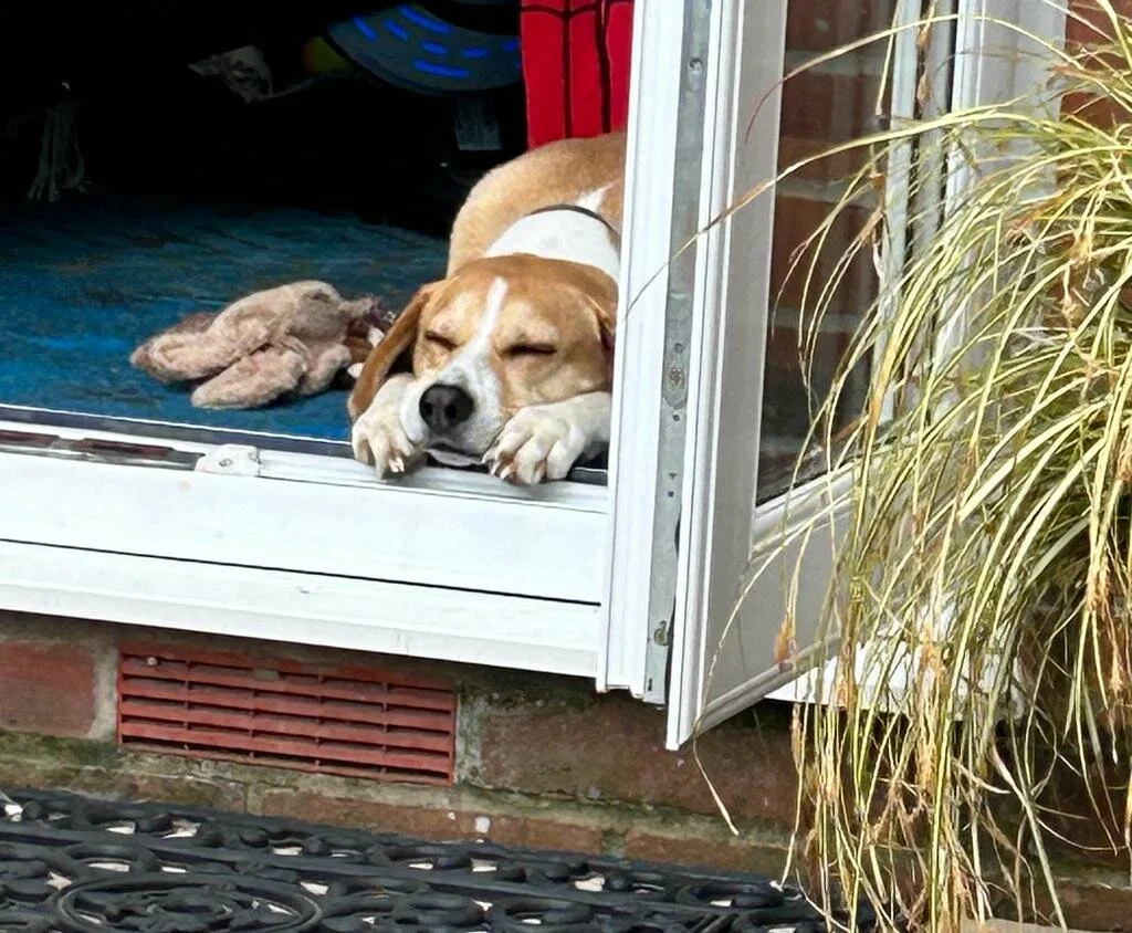 6597F4BE-4508-4B18-99CD-CCA8CA8AC513