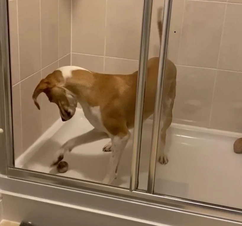 4BC7F93C-45D1-450B-AF30-094BA472FBA0