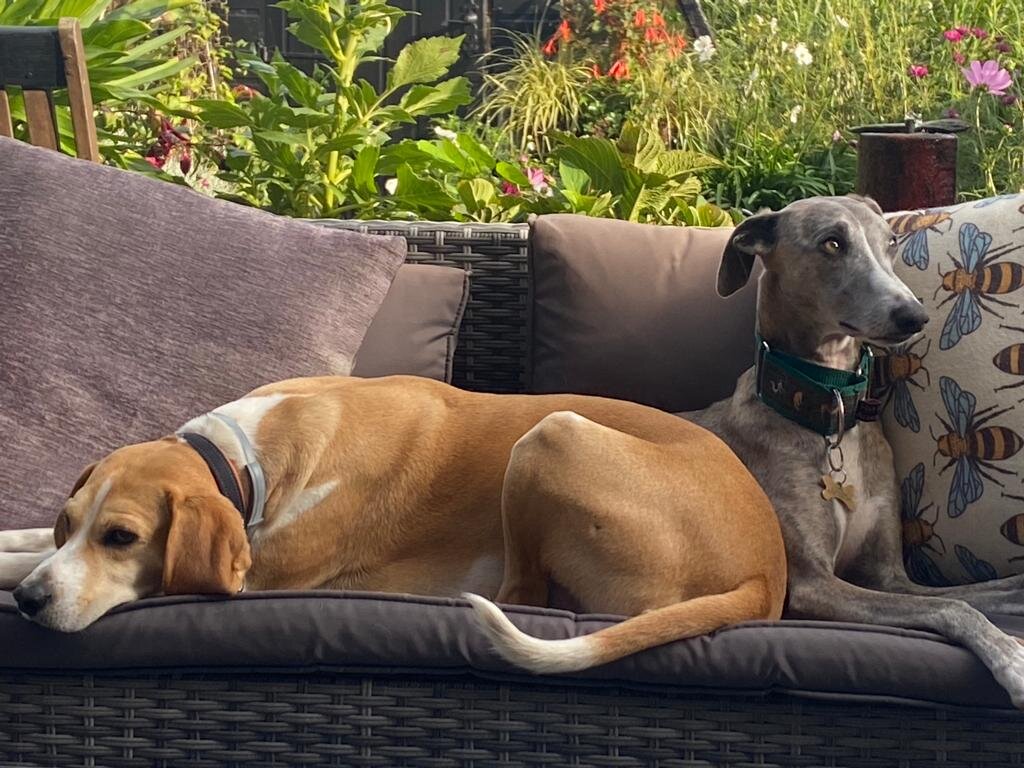 569CC328-12CF-450D-AC30-BA2EB303666C