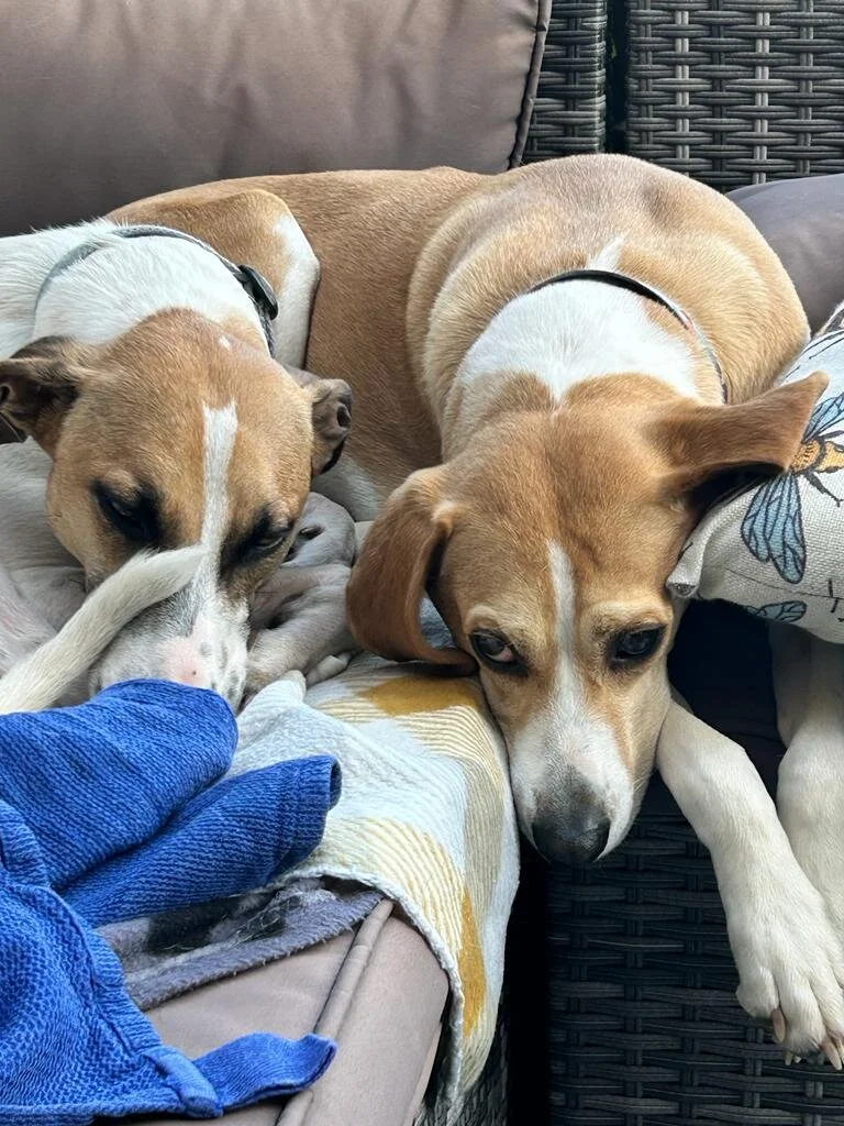 C4406533-F617-4AB1-9E3D-0D26CF22BE9F