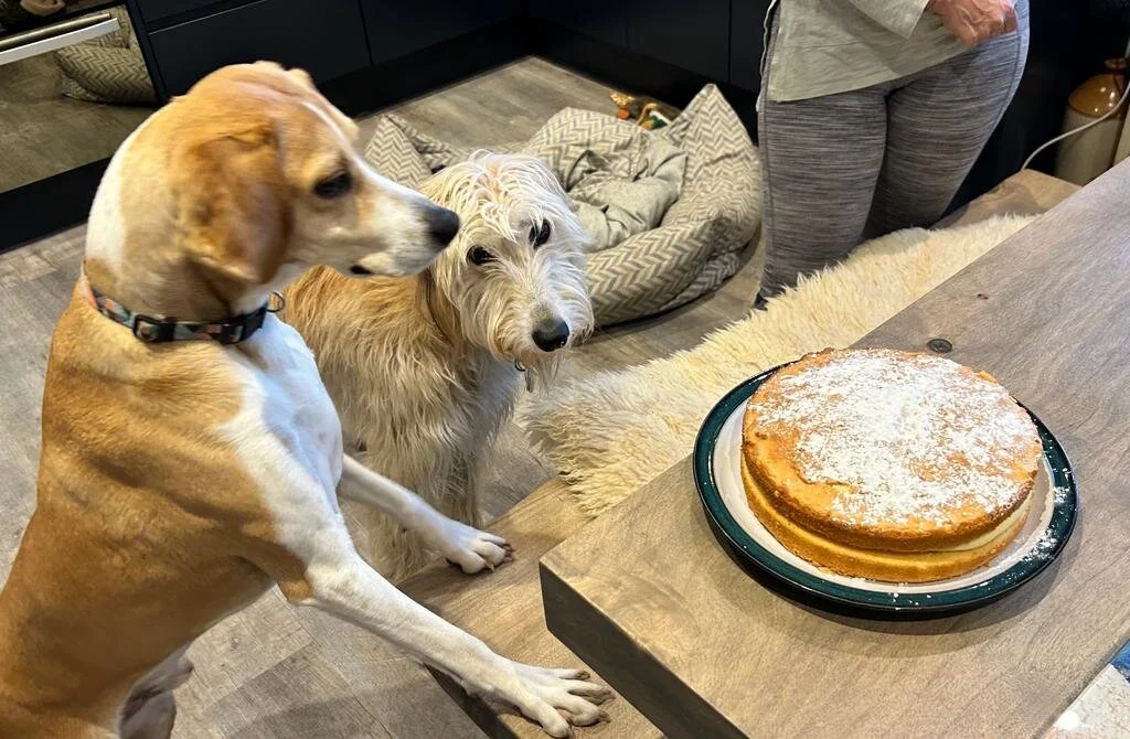 92D7021B-A15A-4273-B872-CD3A4C8F528B