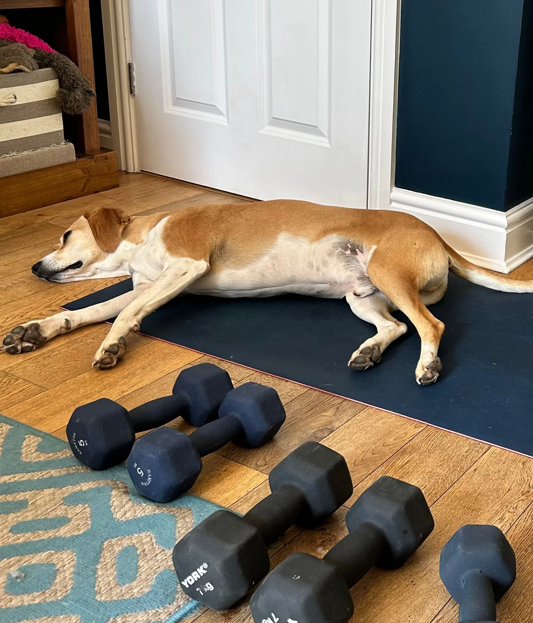 09E3643C-86DE-42C8-A01F-C0EABC966F67