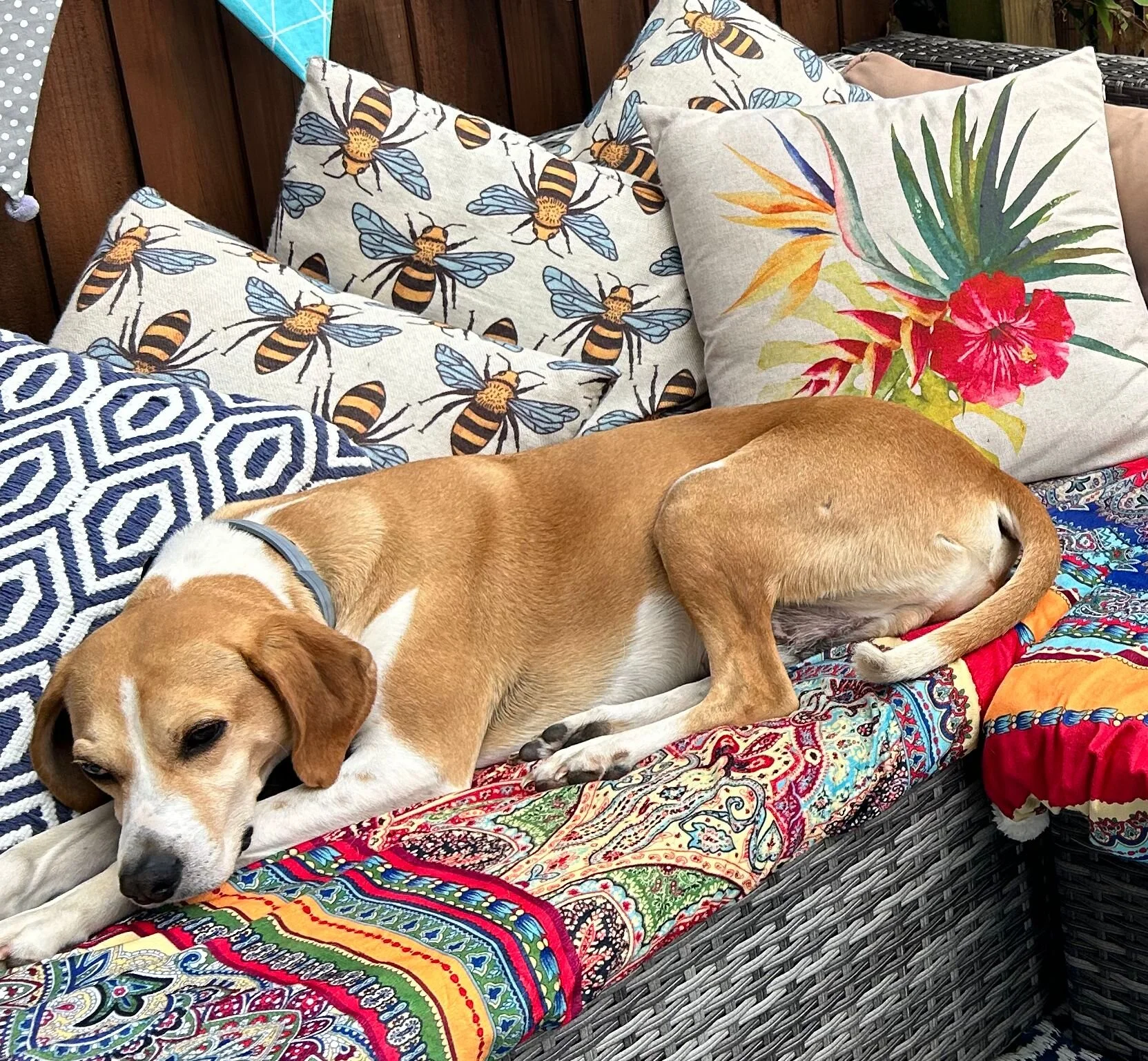 F4E31A69-00E0-43AF-B50F-1A6ED1FA3278