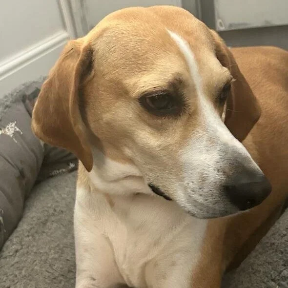 FD67E142-572D-4069-89E5-FC5251F018FB