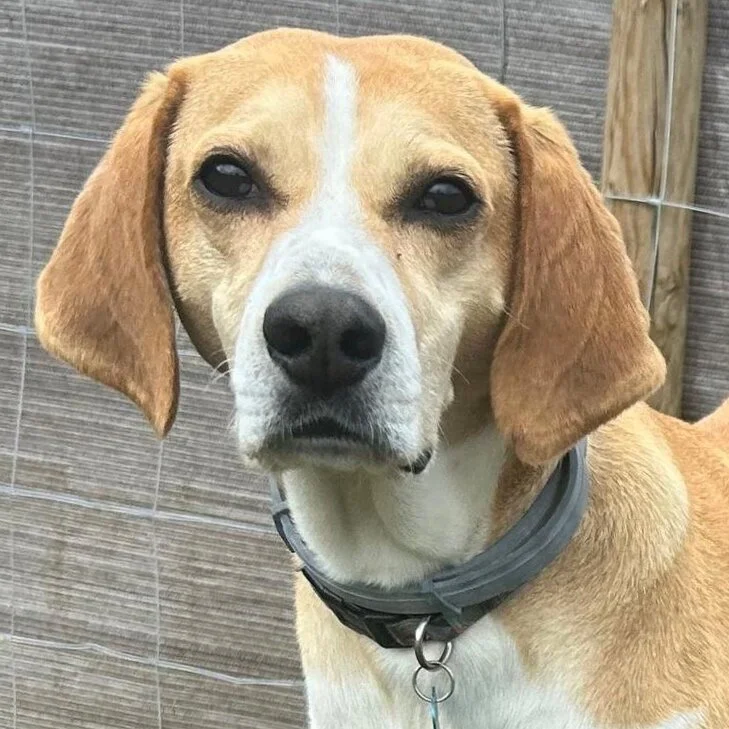 7394940E-4529-43F2-A311-D0651175EFDA