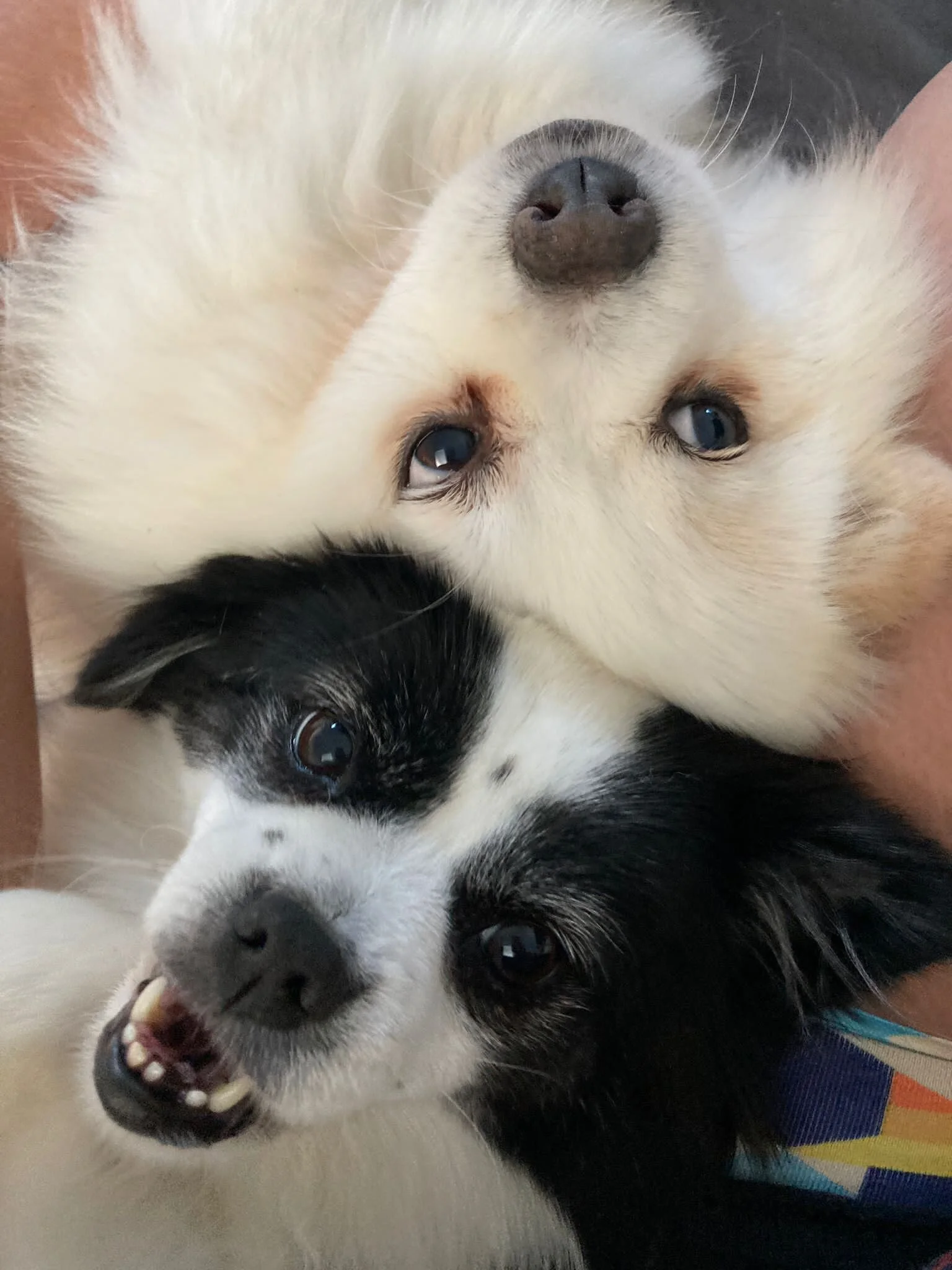 5D1BE847-ED37-4009-B8CD-66DB8AEF59F4