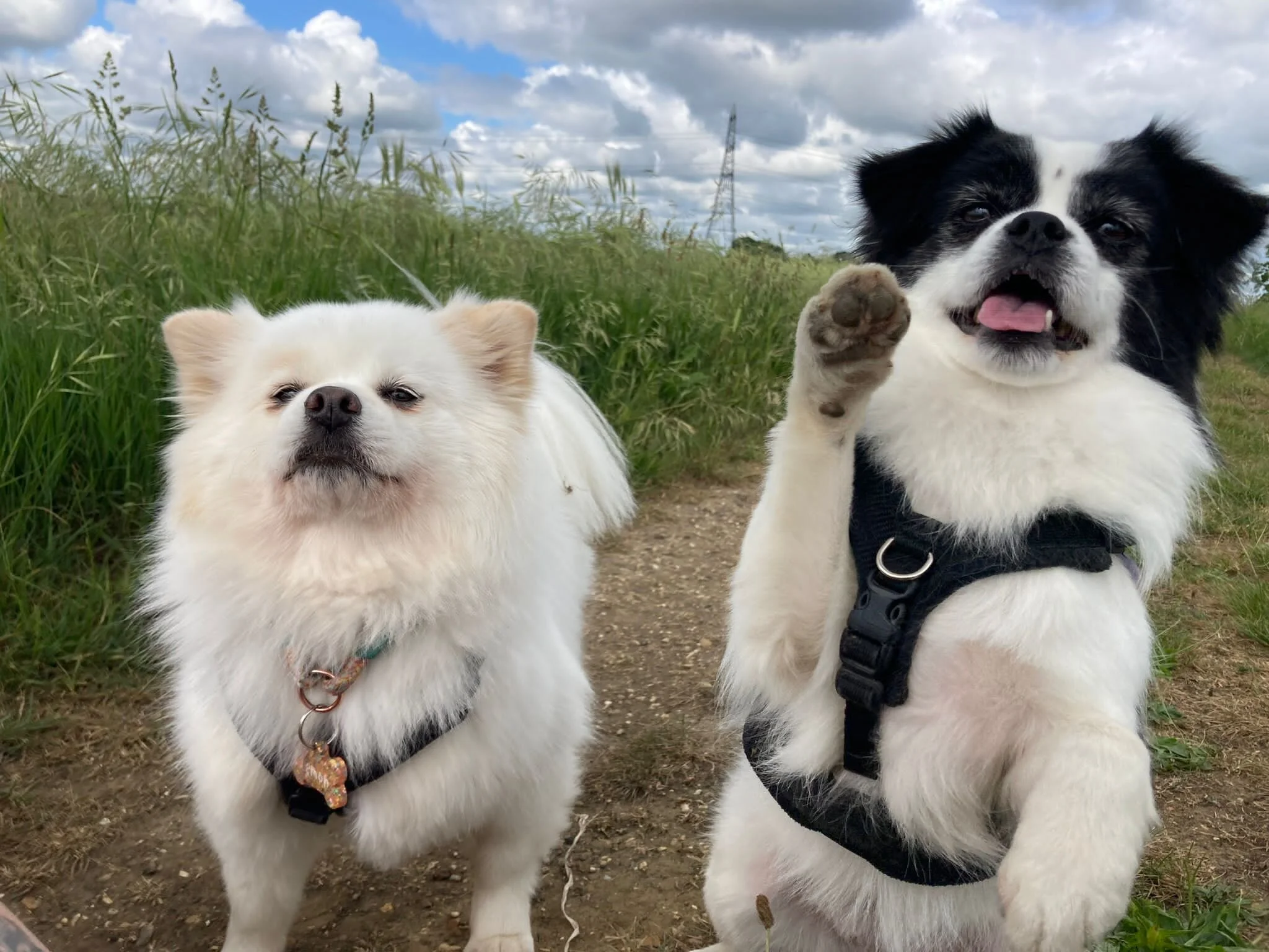 47A9BAF7-A22E-4FDA-8CA0-09F1AA1F81A4