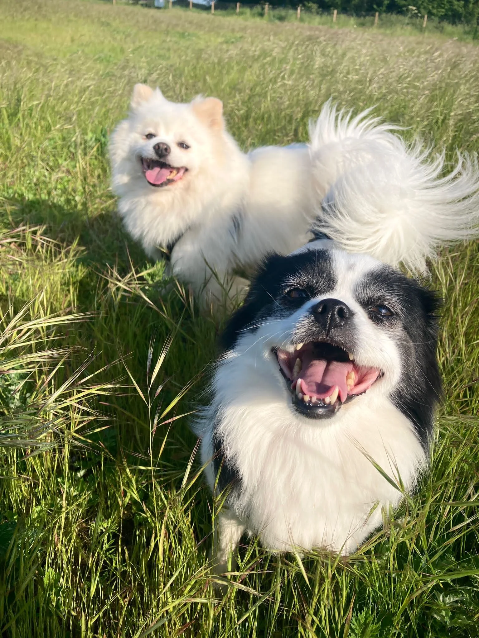 27098F07-D9A1-48D1-8FA4-FA19EEFD2144