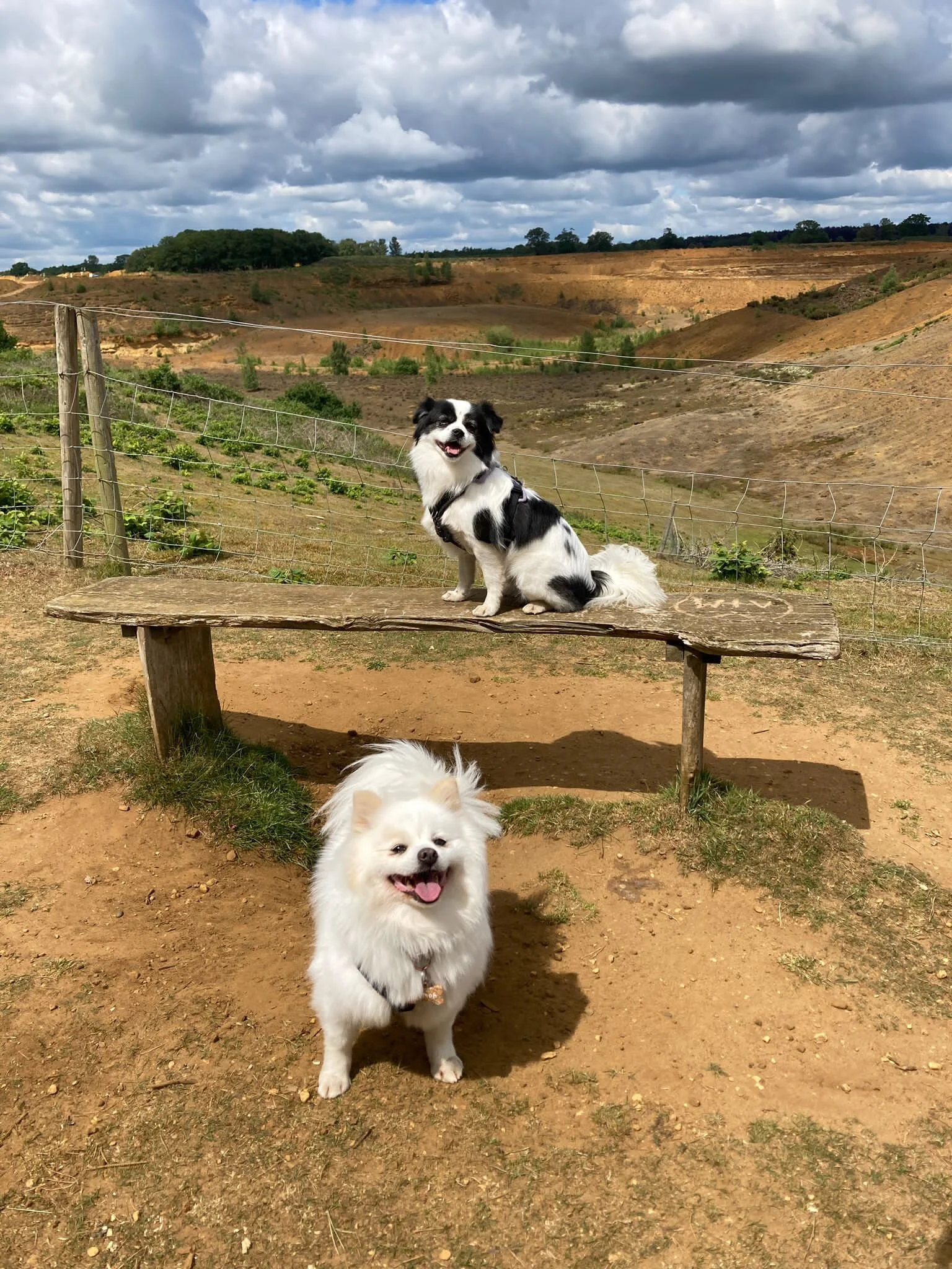 2A99A268-D1CE-4BC2-964A-5DC38C706F5E